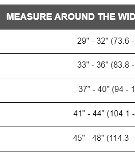 Custom Fitted OTC Theratex Rigid Lumbo Sacral Back Support w/ Rigid Plastic Splint (2883)